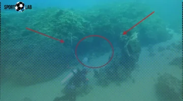 اكتشاف كنز فريد تحت البحر في السعودية يثير السعادة بين المواطنين الآن